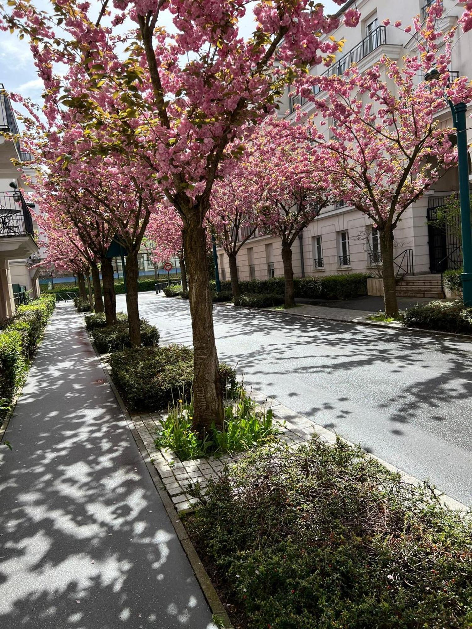Sweet Appartement Disneyland Paris Parking 300M Station Val D'Europe Chessy  Luaran gambar